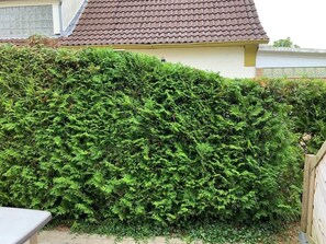 Terrain de l’hébergement 