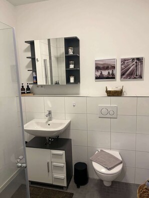 Shower, hair dryer