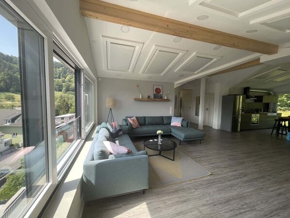 Fernseher, Arbeitsbereiche