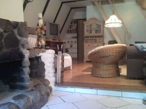 TV, fireplace, books