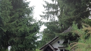 Uklassifisert bilde, 3 av 11, knapp