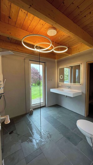 Shower, hair dryer