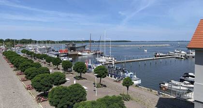 Eismöwe
