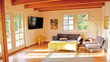 Fernseher