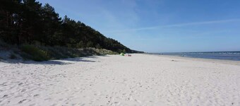 Maritim #1 Zusammenfa