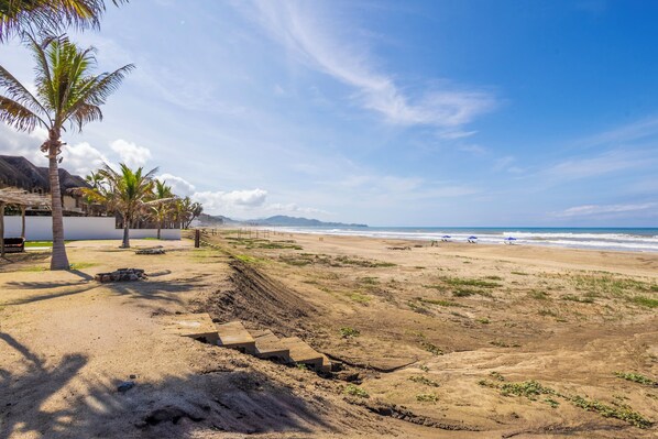 A beach with palm trees, a sandy path, and a view of the ocean.