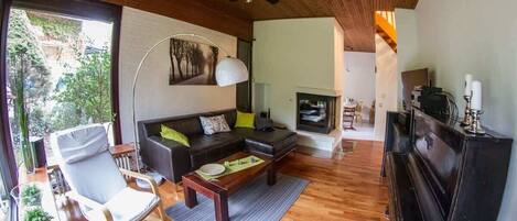 Televisión y chimenea