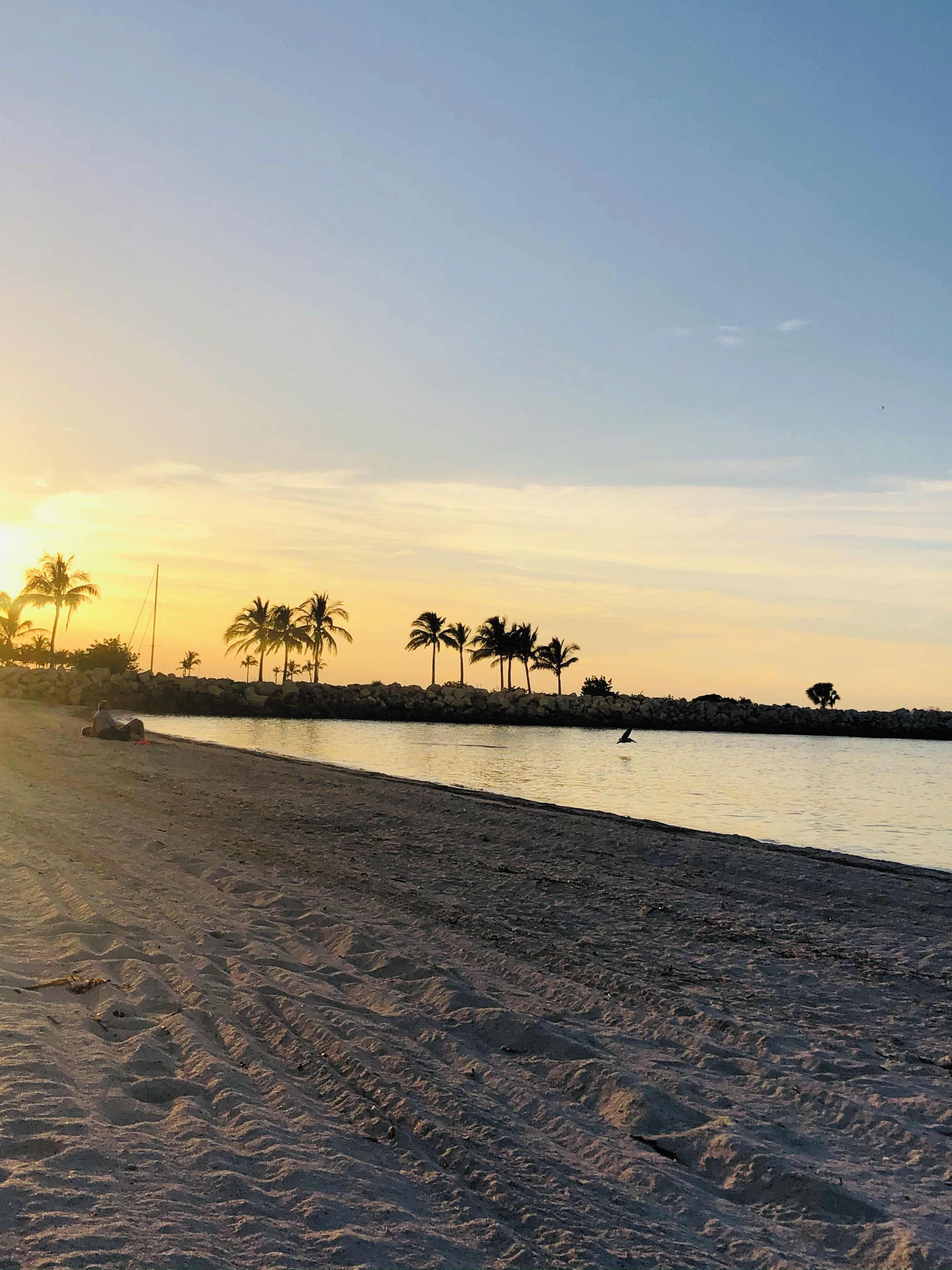 Une plage avec une mer calme, des palmiers et un coucher de soleil.