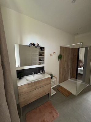 Shower, hair dryer, towels
