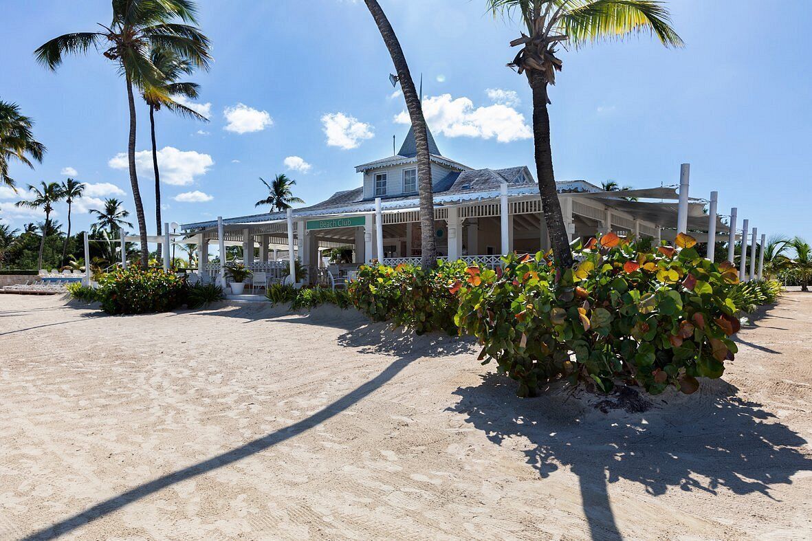 A beach club with a covered seating area, palm trees, and a sandy beach.