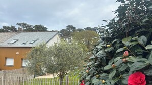 Un quartiere residenziale con una casa, un recinto e un cespuglio con fiori rossi.