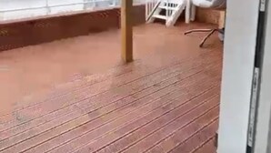 Una terraza de madera con una silla y una barandilla, ambos de color blanco.