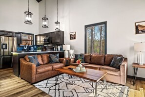 Smart TV, fireplace, video library