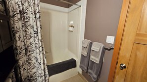 Hair dryer, soap, toilet paper