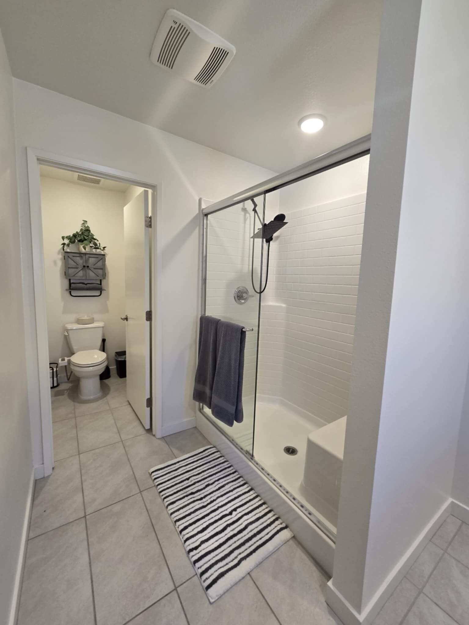 A modern bathroom with a glass-enclosed shower, a toilet, and a small plant on the wall.
