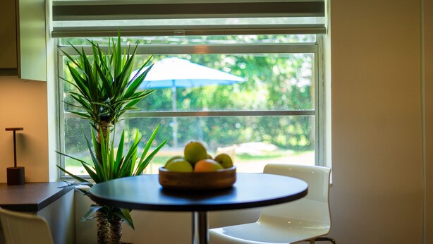 Une pièce avec une fenêtre, une plante, une table sur laquelle se trouve un saladier rempli de fruits, et une chaise.