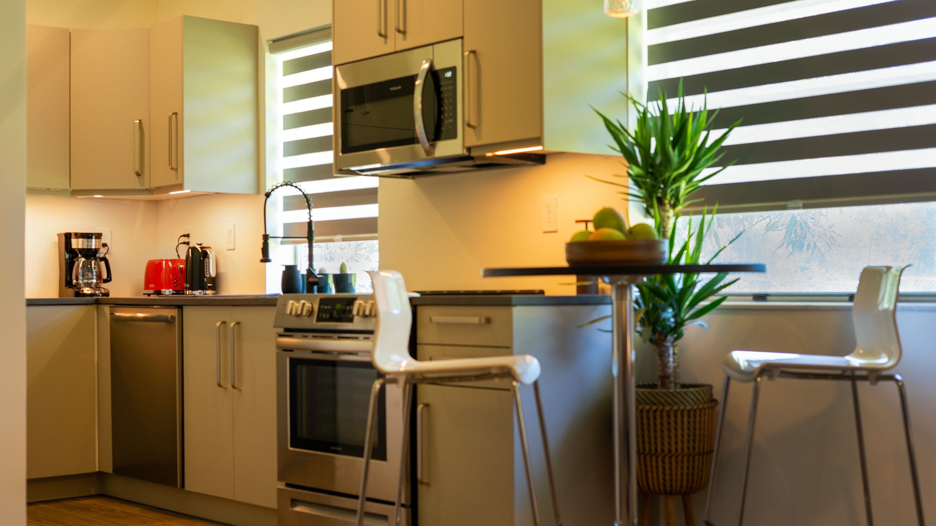 Microondas, horno, parrilla de estufa y lavavajillas 