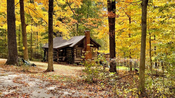 A rustic cabin surrounded by a forest with autumn foliage. - Hot Tub + Deck: Cabin Hideaway in Brown County (Nineveh)