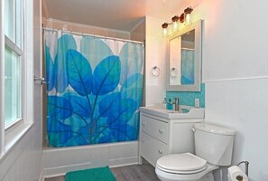Hair dryer, towels, soap, toilet paper
