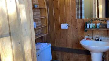 Shower, towels, soap, toilet paper