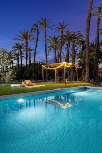 Historical Palms by Fidalsa