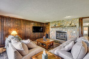 TV, fireplace, books
