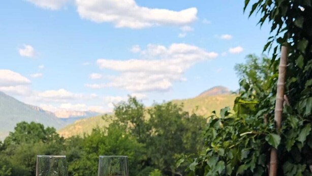 Two glasses of white wine on a tray with a scenic view of greenery and mountains in the background. - Charming Provencal country house in the heart of the Alps de Haute Provence 3*. (Mézel)