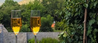 Charming Provencal country house in the heart of the Alps de Haute Provence 3*.