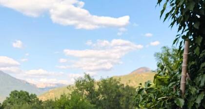 Charming Provencal country house in the heart of the Alps de Haute Provence 3*.