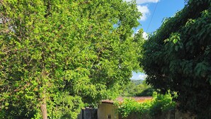 A narrow gravel path leading to a small building with a tiled roof, surrounded by dense greenery and stone walls. - Charming Provencal country house in the heart of the Alps de Haute Provence 3*. (Mézel)
