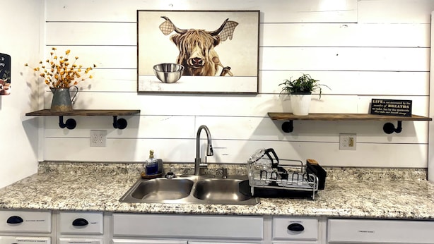 Cocina con encimera de granito, pileta de acero inoxidable y un cuadro colgado de una vaca. Hay dos estantes de madera sobre la pileta, uno con una planta en maceta y el otro con un tazón de metal.
