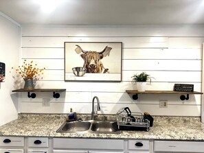 Cocina con encimera de granito, pileta de acero inoxidable y un cuadro colgado de una vaca. Hay dos estantes de madera sobre la pileta, uno con una planta en maceta y el otro con un tazón de metal.