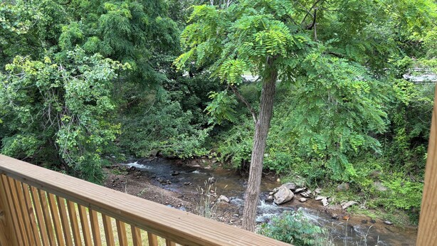 Une terrasse en bois donnant sur une zone boisée, avec un ruisseau.