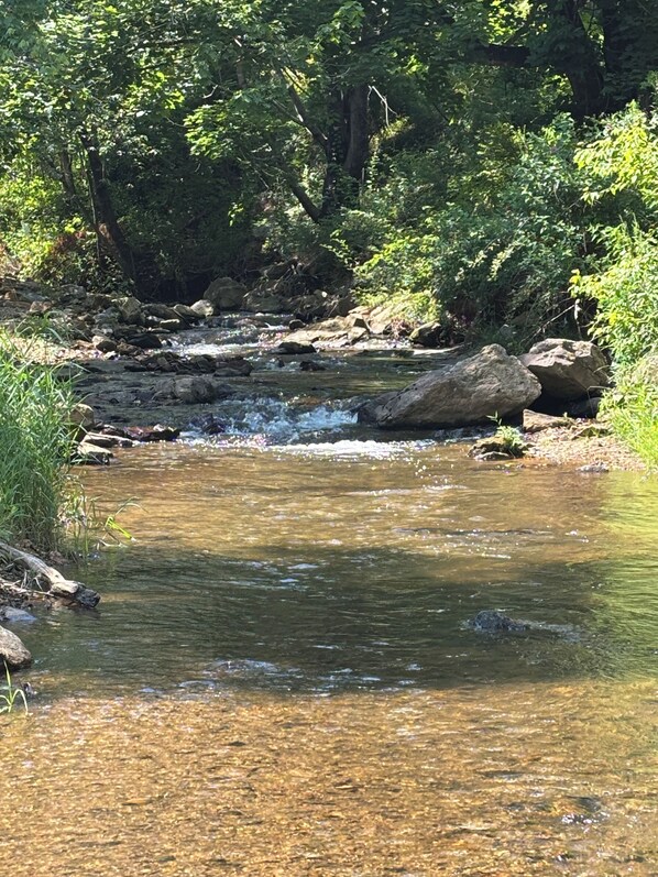 Un ruisseau limpide, bordé de rochers et de verdure.