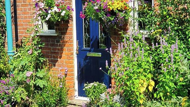 A brick building with a blue door, surrounded by lush greenery and hanging flower baskets. - The Lodge Stanwell (Staines)