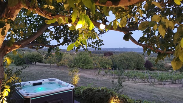 A hot tub with a view of a vineyard and a tree in the foreground. - Villa a Balaton-Felvidéken, ahol jakuzziban gyönyörködhet a tó panorámájában (Vászoly)