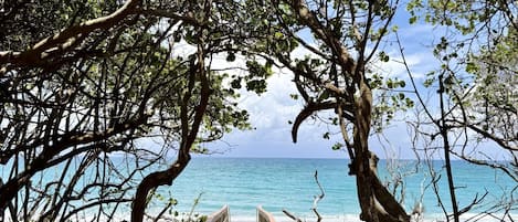 Ein hölzerner Weg führt zu einem Strand, umgeben von Bäumen und Pflanzen.