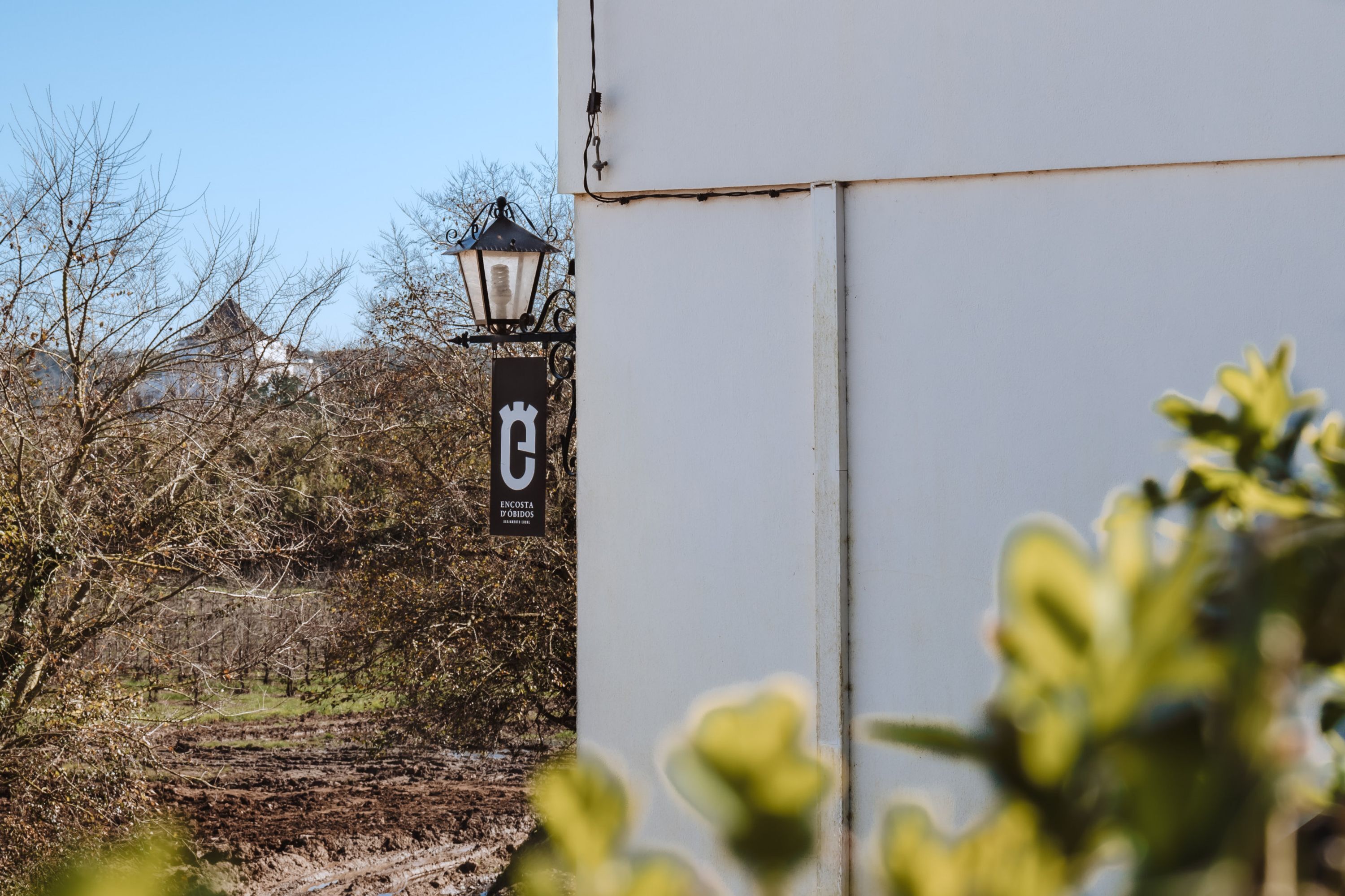 公寓 | 1 多间卧室