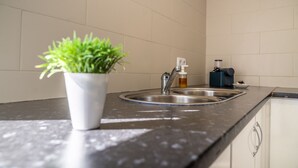 A kitchen with a stainless steel sink, a potted plant, and a soap dispenser on the countertop. - Mar Alta - Supertubos (Peniche)