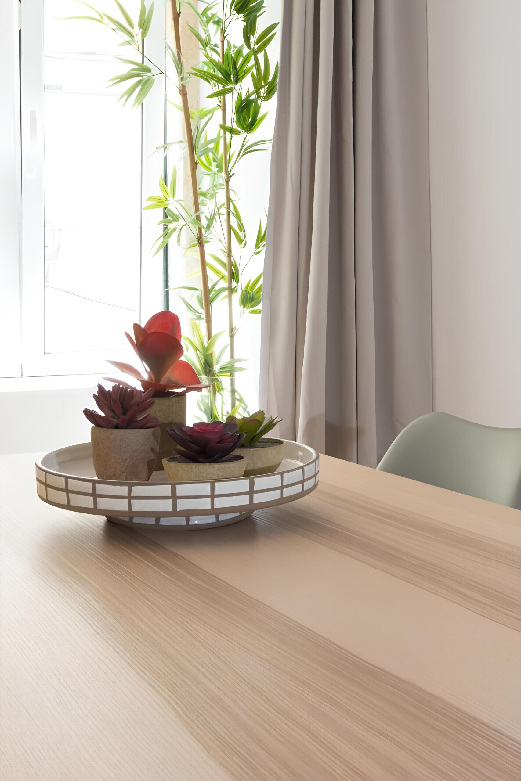 A round table with a circular tray holding several potted plants, including succulents and a bamboo plant, in a room with a window and curtains.