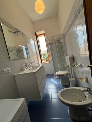 Shower, hair dryer, bidet, towels