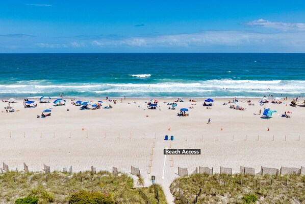 بالقرب من الشاطئ