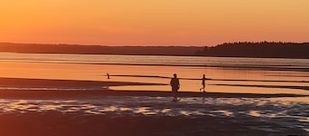 Beautiful Beachside Serenity Cottage, Point du Chene