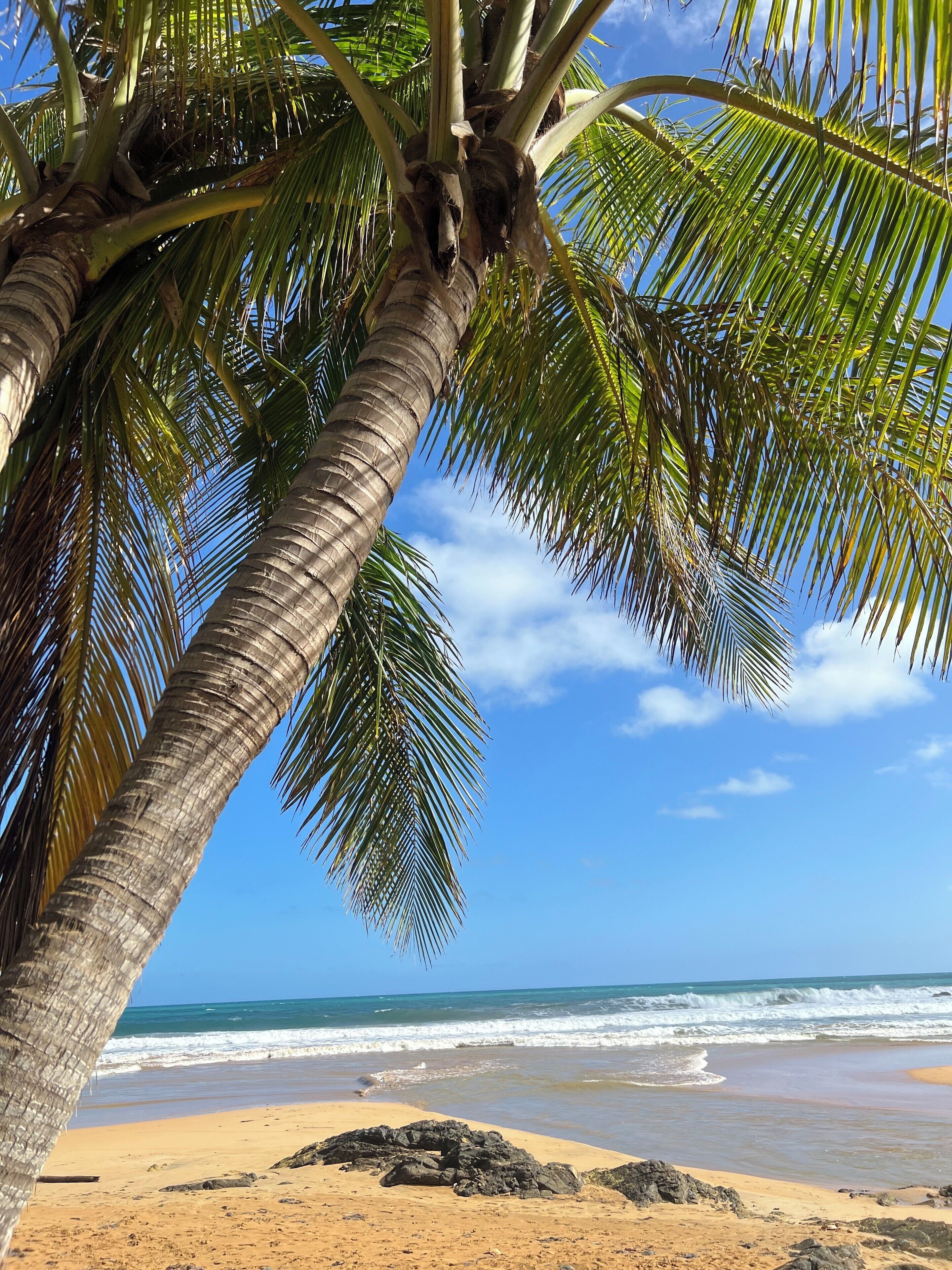 Sun loungers, beach towels