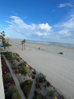 Beach - Beautiful Oceanfront Studio in Heart of Long Beach (Long Beach)