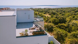 A rooftop terrace with a glass balustrade, a seating area with a table and chairs, and a view of the sea and greenery. - Amazing home in Mandre (Mandre)