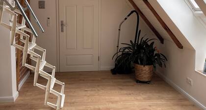 Vacation home ALEX - Apartment in the attic