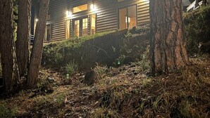 A modern building with a sloped roof, large windows, and a well-lit entrance. - In the center of all the Black Hills has to offer, The Elkhorn Cabin with a Hot Tub (Keystone)