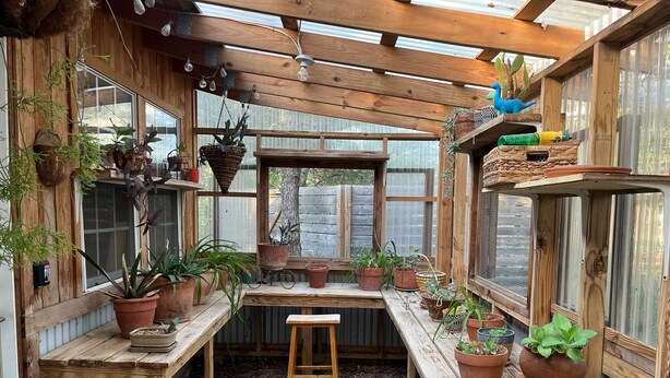 A rustic wooden structure with multiple windows, potted plants, and a wooden bench.