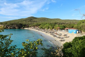 Tæt på stranden